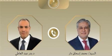 وزير الخارجية يبحث مع نظيره الباكستاني والإيراني التطورات الإقليمية