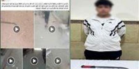 ضبط المتهم بالاعتداء على سيدة وسرقتها بالإسماعيلية