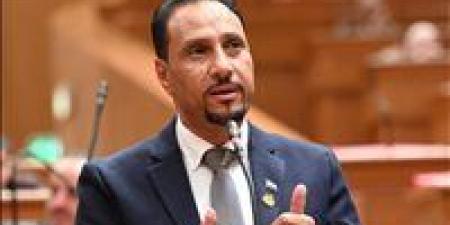 جرجس لاوندي: زيادة موازنة الصحة 25% غير كافية وحدها لتحسين جودة حياة المواطن