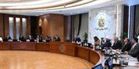 رئيس الوزراء: خفض معدل الإنجاب الكلي من 2.54 في نهاية عام 2023 لـ 2.34 في نهاية 2025