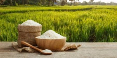 تعرف على سعر كيلو الأرز في الأسواق اليوم الاثنين