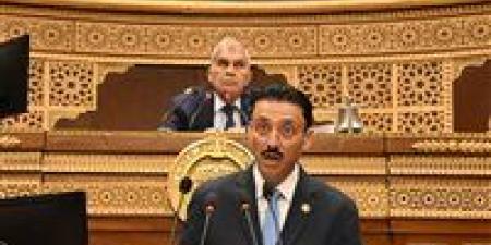 النائب محمد رزق: 3.74 مليون شركة تواجه تحديات تستوجب تدخلا حكوميا عاجلا
