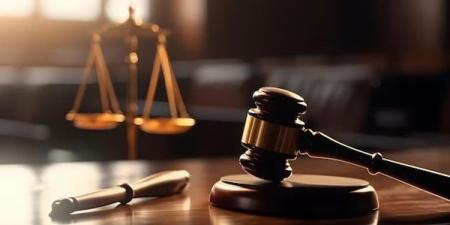 اليوم، محاكمة 73 متهما بـ خلية اللجان النوعية بالتجمع