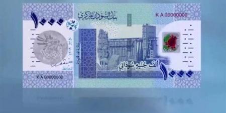 سعر الدولار مقابل الجنيه في بنك السودان المركزي مساء اليوم الأربعاء
