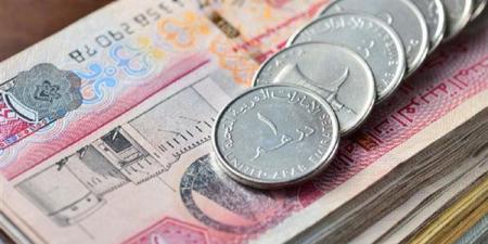 آخر تطورات سعر الدرهم الإماراتي أمام الجنيه المصري في 5 بنوك