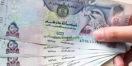 سعر الدرهم الإماراتي مقابل الجنيه في البنك المركزي المصري