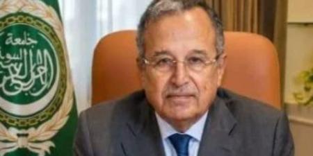 نبيل فهمى يدين نسف الاحتلال الإسرائيلى حيا كاملا فى جنوب لبنان