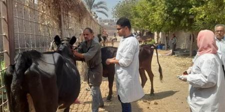 قافلة علاجية مجانية لطب بيطري القاهرة بمنطقة التبين لدعم صحة الحيوان