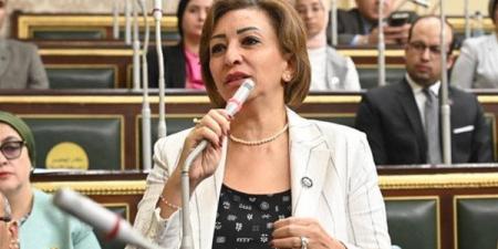 مها عبدالناصر عن قانون "مستقبل مصر": إنشاء كيانات موازية ليس هو الطريق الصحيح للإصلاح