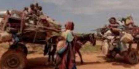 مقتل 8 وإصابة 14 في اشتباكات الدبة بالسودان