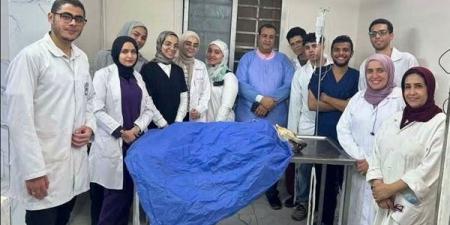 طلاب بيطري القاهرة يشاركون بحملة لتعقيم الكلاب الضالة وفق المعايير الدولية