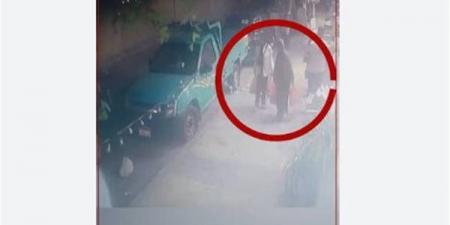 أصابها بكسر في الجمجمة ونزيف بالمخ، لحظة سقوط عمود إنارة على سيدة بالإسكندرية (فيديو)