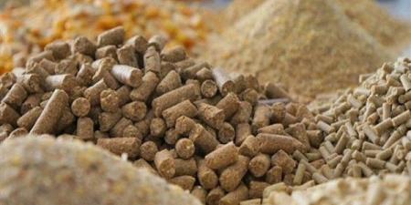 ارتفاع الردة وانخفاض بالصويا والذرة، أسعار الأعلاف والحبوب اليوم الخميس في الأسواق