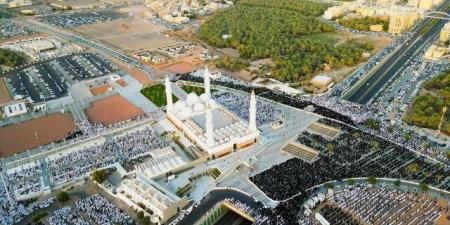 أمانة المدينة المنورة تعرض مشروعاً استثمارياً يضم أنشطة تجارية وسكنية وضيافة