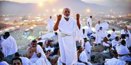 وزارة الحج تعتمد نتائج تقييم شركات خدمة حجاج الخارج لموسم 1447 هـ