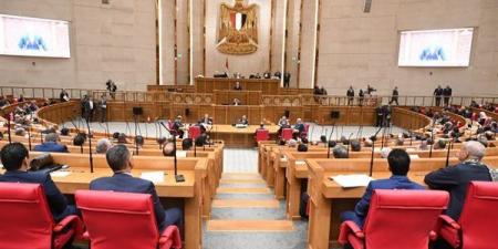 نائب يواجه 3 وزراء بسؤال عن خطة تحويل المحافظات لمناطق جذب استثماري متخصصة