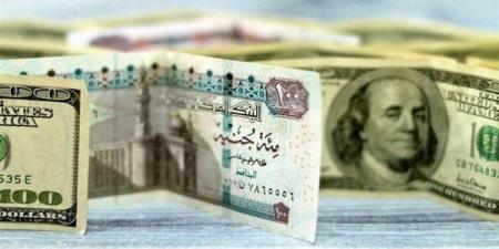 ارتفاع سعر صرف الدولار أمام الجنيه (آخر تحديث)