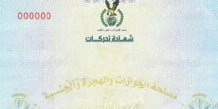 من السفارة إلى المحكمة، كل ما تريد معرفته عن شهادة التحركات وخطوات استخراجها - النيل نيوز