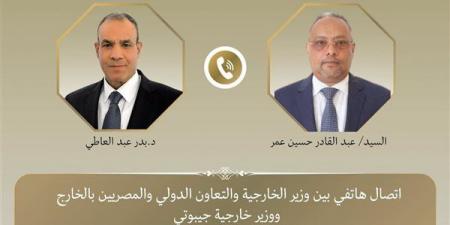 وزير الخارجية يبحث مع نظيره الجيبوتي تطورات الأوضاع في منطقة القرن الأفريقي - النيل نيوز