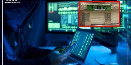 تفاصيل مقترح تشريعي بإعداد برامج تدريب وتأهيل للعاملين في الاقتصاد الرقمي - النيل نيوز