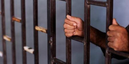 ضبط شابين بحوزتهما حمار نافق داخل تروسيكل في مغاغة بالمنيا - النيل نيوز