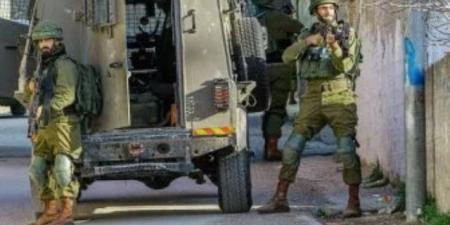 فلسطين: مخططات إسرائيل للضم والاستيطان تهدد أي أفق للسلام وإقامة دولتنا - النيل نيوز