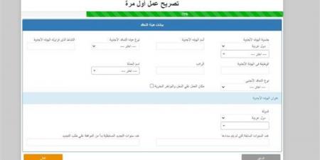 شروط إصدار وتجديد تصاريح العمل للمصريين بالخارج.. تعرف على المستندات والفئات المستثناة - النيل نيوز