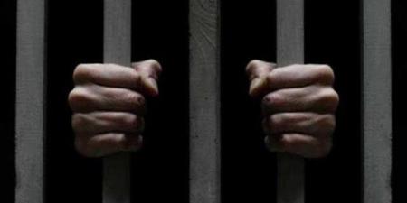 مواجهة قانونية تكشف التفاصيل، فتاة تتعرف على مسن اتهمته بالتحرش داخل ميكروباص بالمرج - النيل نيوز