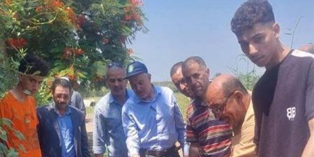 زراعة الشرقية تنفذ يوما حقليا لمحصول الأرز بالإبراهيمية - النيل نيوز