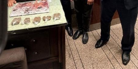 جمارك مطار الاقصر الدولي تحبط محاولة تهريب كمية من المواد المخدرة - النيل نيوز