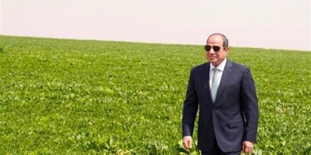 توفير السلع وضبط الأسواق واستقرار الأسعار.. توجيهات رئاسية متواصلة للحكومة بتأمين احتياجات المواطنين ومواجهة الأزمات.. والتوسع في المشروعات الزراعية والصوامع والتصنيع والتوزيع - النيل نيوز