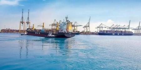 "موانئ" تحدث مسار خدمة شحن تابعة لـ"MSC" لتشمل باب المندب وقناة السويس - النيل نيوز