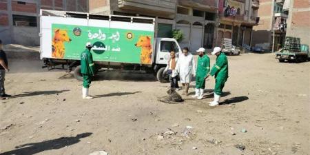 محافظ الدقهلية يكلف الطب البيطري بحملة مكثفة لمواجهة الكلاب الضالة في طلخا - النيل نيوز