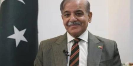 شهباز شريف يوقف 8 مسؤولين ويطالب بملاحقتهم جنائيا بعد مقتل 14 رضيعًا بحريق مستشفى - النيل نيوز