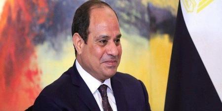 السيسي يوجه بالتعامل مع شكاوى جودة الخدمات في المطارات المصرية بجدية وسرعة لتعزيز ثقة المسافرين - النيل نيوز