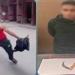 ”أخويا ضربني”.. بائع فاكهة يعتدي على شقيقه بسلاح أبيض بالمحلة