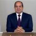 الرئيس السيسي: مصر ستظل شريكًا فاعلًا فى دعم مسيرة التنمية والبناء بالدول الإفريقية الشقيقة