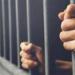 طعنات أنهت حياته.. إحالة 3 أشقاء للمفتي في جريمة هزت مغاغة