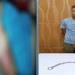 ضبط عاطل اعتدى على نجل شقيقه بسلسلة حديدية لتأديبه بالحوامدية