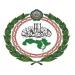 البرلمان العربي يدين هجوم الحوثيين على نجران ويؤكد تضامنه مع السعودية