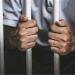 كسرت الحائط ودخلت البيت، اعترافات مثيرة للمتهم بسرقة منزل جارته في سوهاج - النيل نيوز