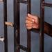 ضبط شابين بحوزتهما حمار نافق داخل تروسيكل في مغاغة بالمنيا - النيل نيوز