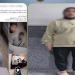 مش ندم، اعترافات مثيرة لسيدة سرقت سماعة هاتف من محل وعادت لدفع ثمنها بالدقهلية (فيديو) - النيل نيوز