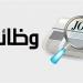 أي كلية تضمن وظيفة أسرع؟ خريطة تشغيل حديثي التخرج في مصر - النيل نيوز