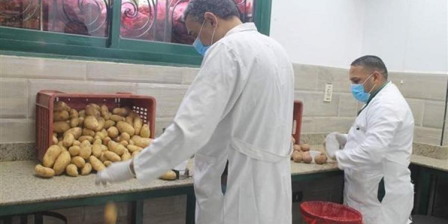 "الزراعة"
      تكشف
      عن
      أبرز
      أنشطة
      مشروع
      مكافحة
      وحصر
      العفن
      البني
      في
      البطاطس
      خلال
      نوفمبر