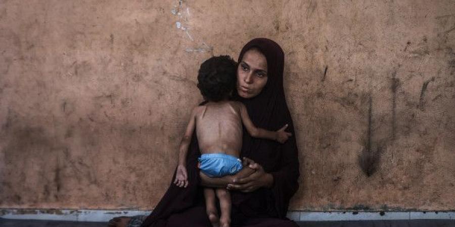 المرصد الأورومتوسطي: خطر المجاعة لم يغادر قطاع غزة