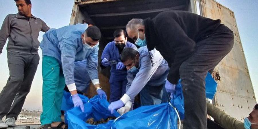 الإعلام الحكومي بغزة: الاحتلال يسرق أعضاء من جثامين شهداء فلسطينيين