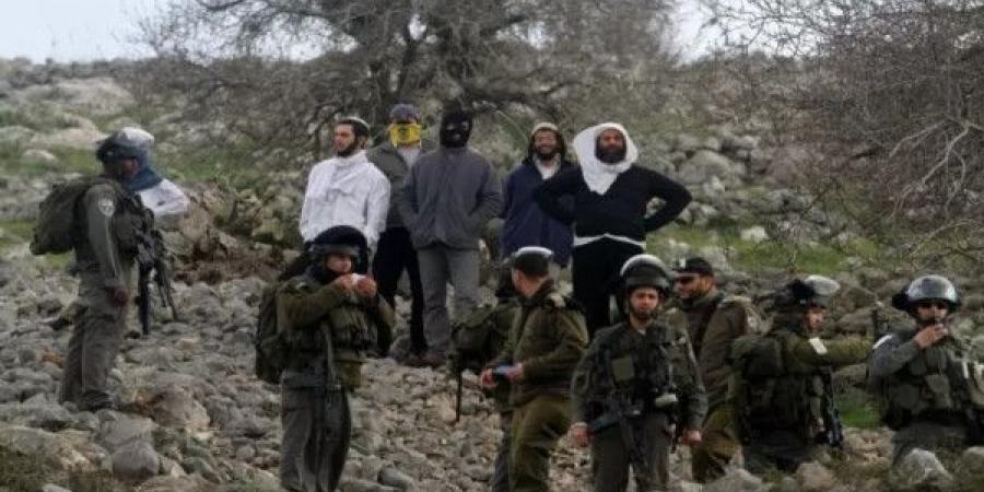 مستوطنون يعتدون على قاطفي الزيتون في بورين جنوب نابلس