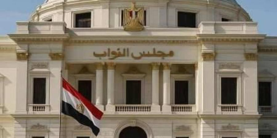 كم سترتفع رسوم التأشيرات؟ مجلس النواب المصري يحسم القرار نهائياً