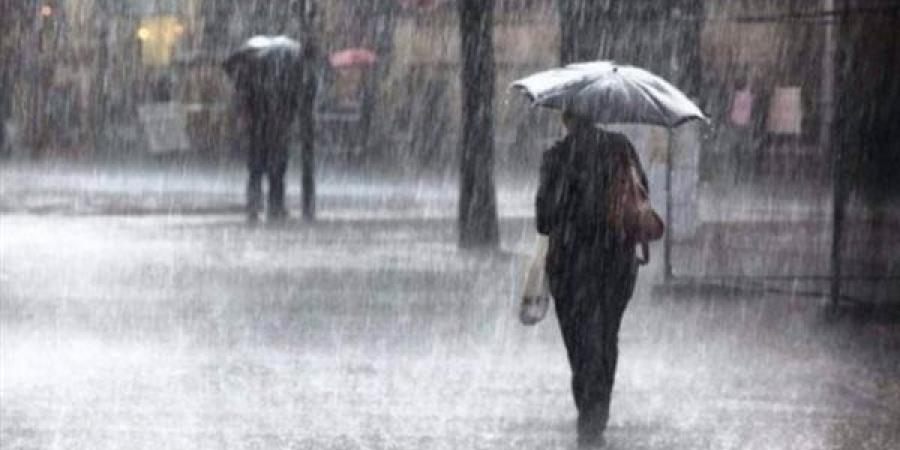 أمطار قد تصل لحد السيول.. الأرصاد الجوية تحذر من حالة الطقس اليوم في مصر | بث مباشر